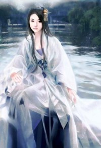纯洁的黑心律师（网络版）