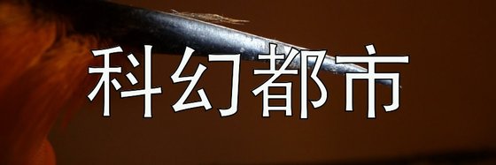 科幻都市&13篇强推经典作品